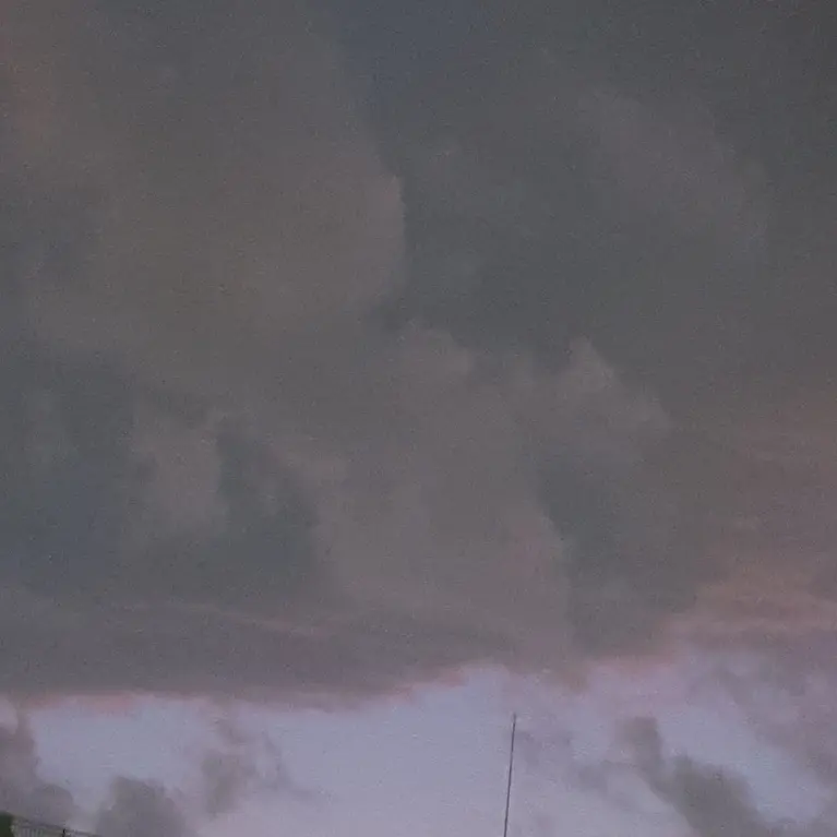 Goguma_의 진이혁