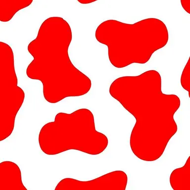 Profile image of 슌타.