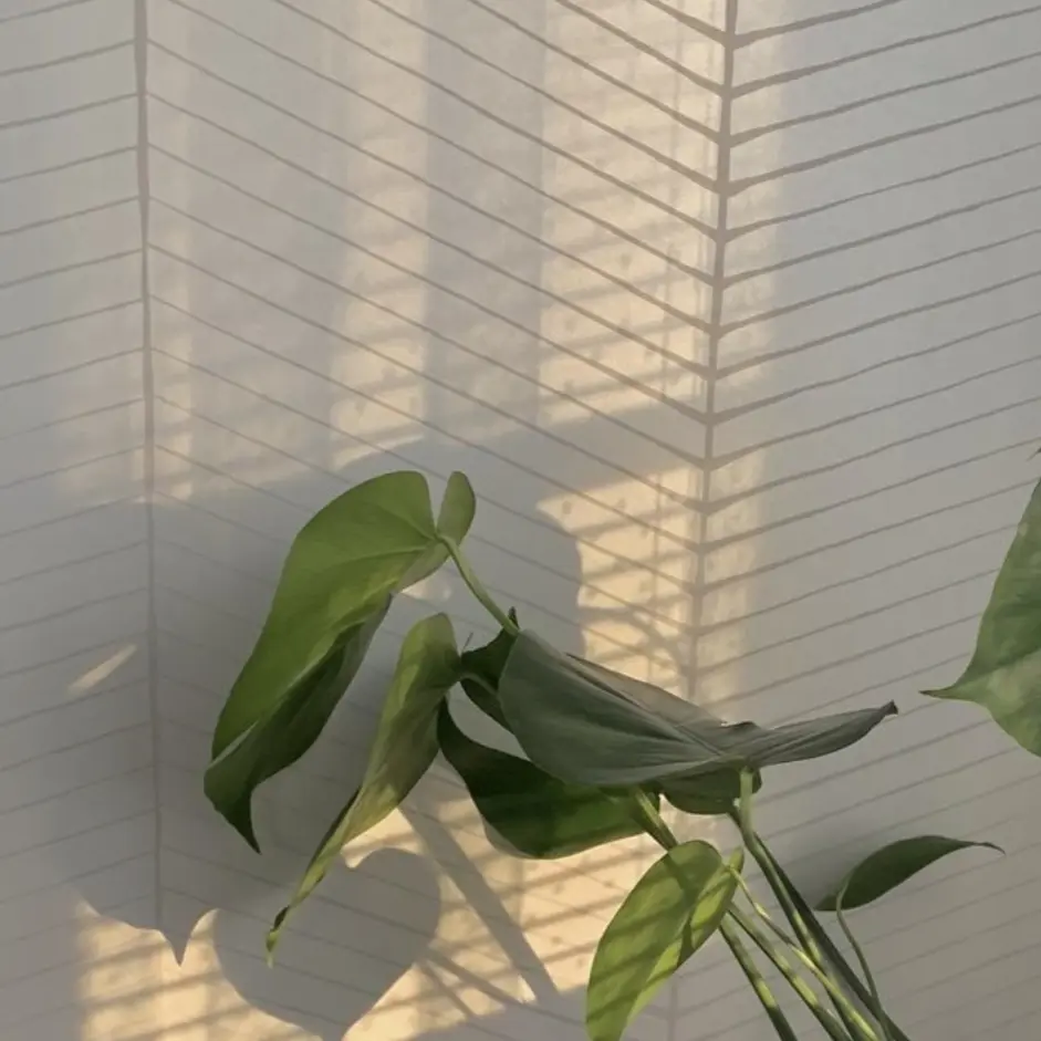 Code_Name-Onyx의 오뉴