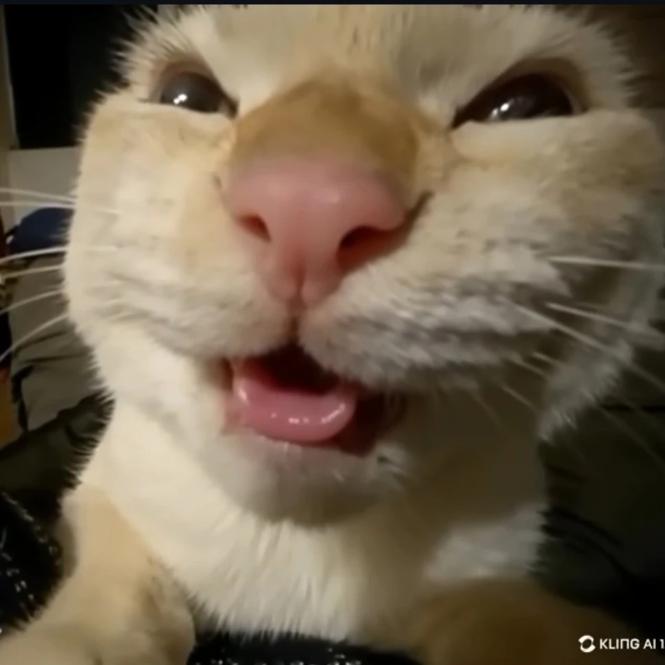내 꺼
