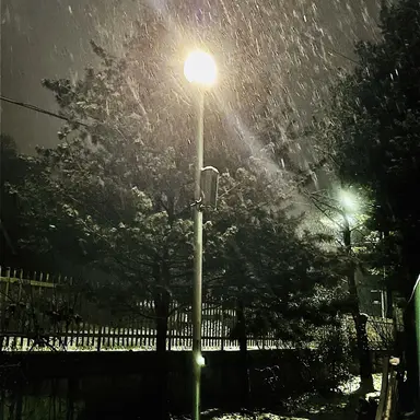 Profile image of 정공룡