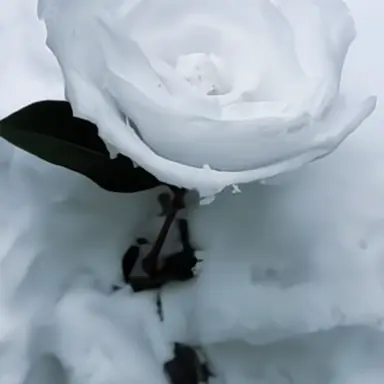 Profile image of 박잠뜰