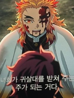 주들+여우+교통사고 대표 이미지
