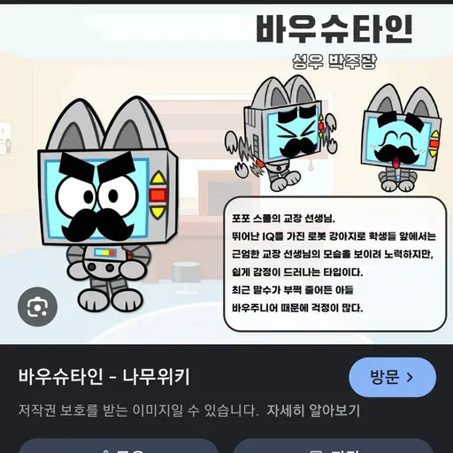 JustTable5115의 바우슈타인