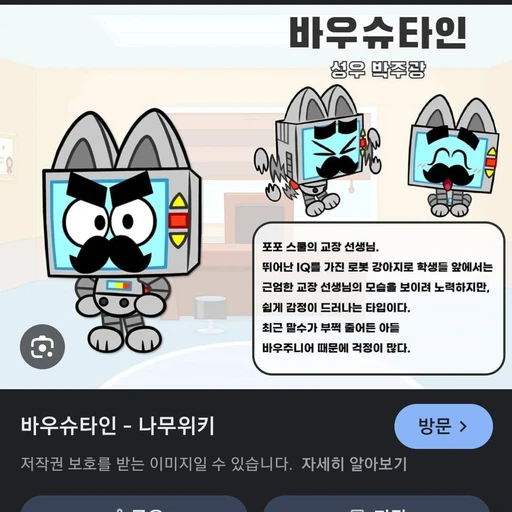 바우슈타인