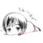 本田菊