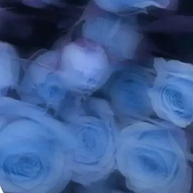 Profile image of ミヒャエルカイザー