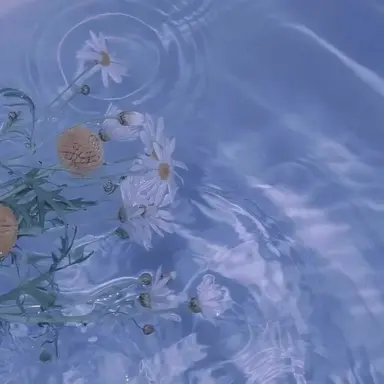 Profile image of 백현