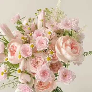 Profile image of 모양몬