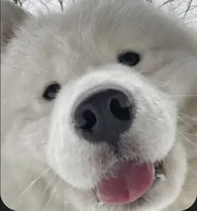 Profile image of 마루