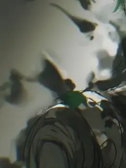 -lily-of-the-valley-의 Why?