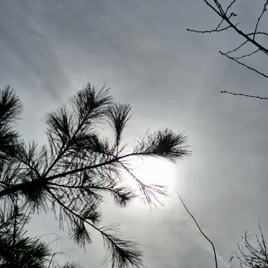 Profile image of 스키즈