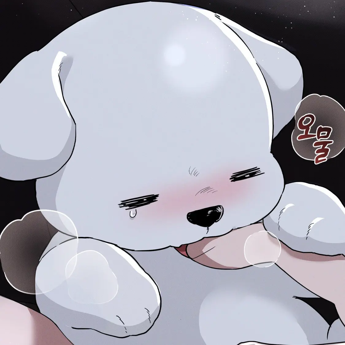 StuffyBell0957의 윤정한