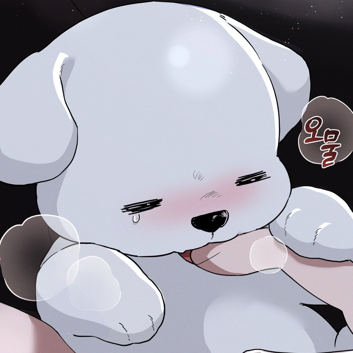 정한
