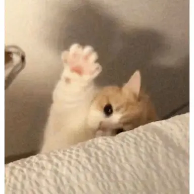 Profile image of 김우주