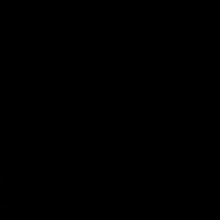 TriteRival1273의 나에게 반항하는 애정결핍강아지