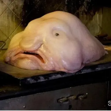 Profile image of 주아