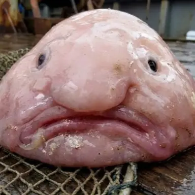 Profile image of 다은