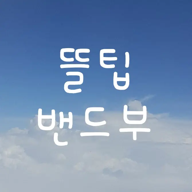 milkiway의 뜰팁 밴드부
