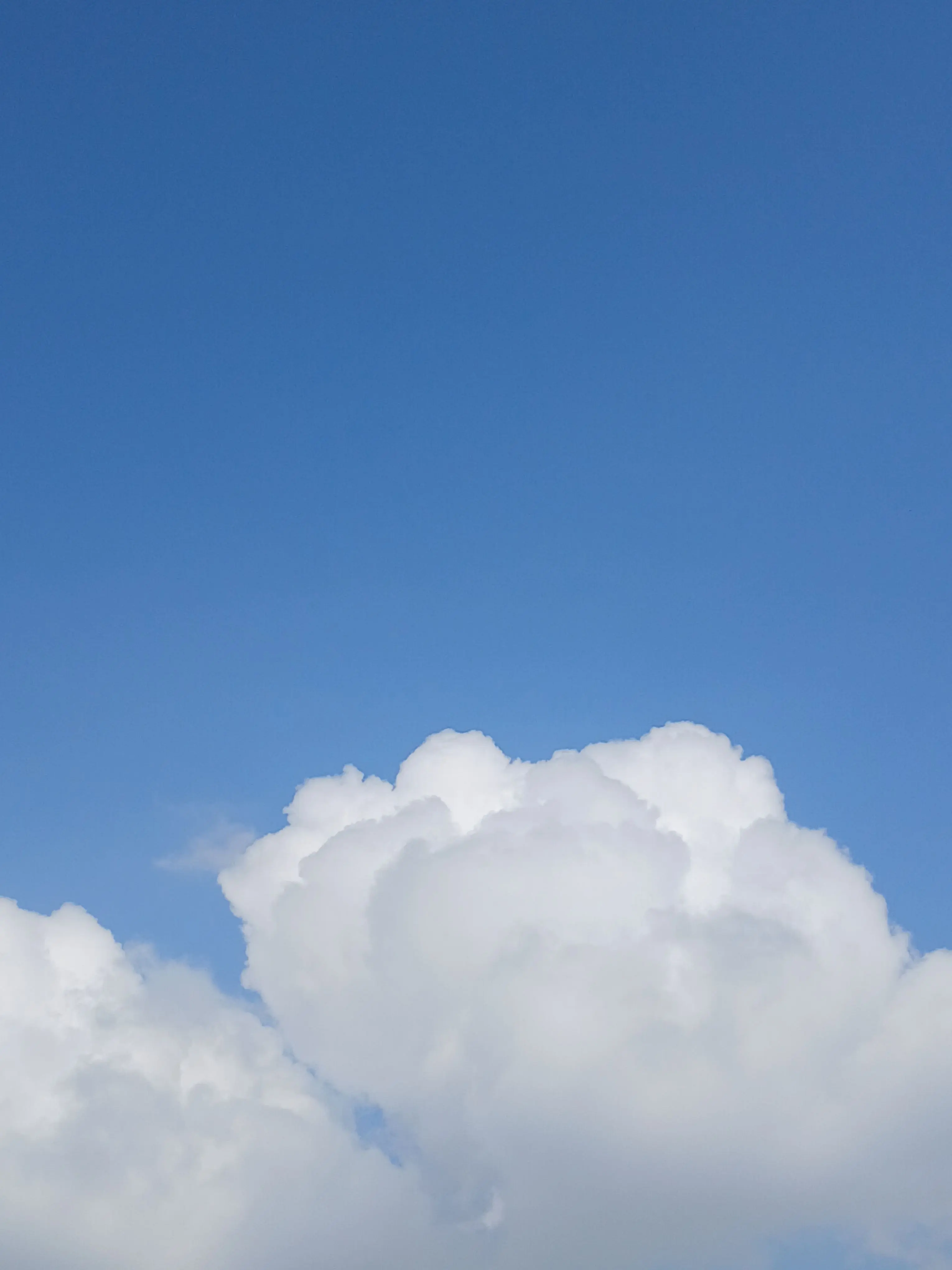 sunny1207의 ❤️‍🔥잘나가는 남녀무리💓