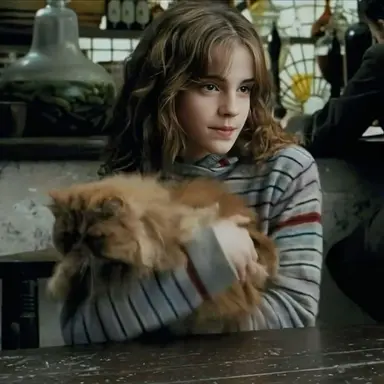 Profile image of Hermione Granger