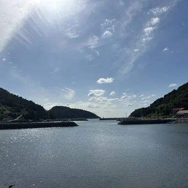 Profile image of 사가치