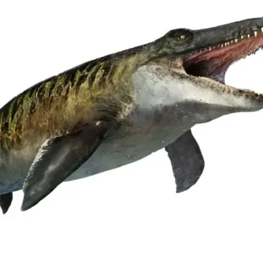 Profile image of 모사사우루스