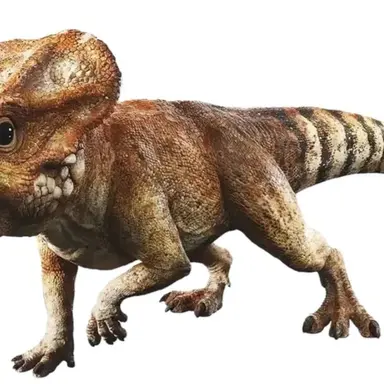 Profile image of 아퀼롭스