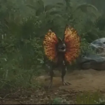 Profile image of 딜로포사우루스