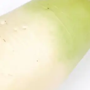 Profile image of 해설자