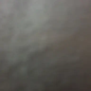 Profile image of 블랙