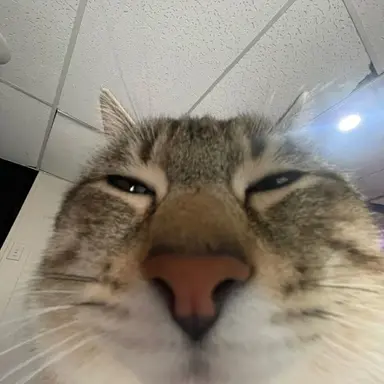 Profile image of 울더