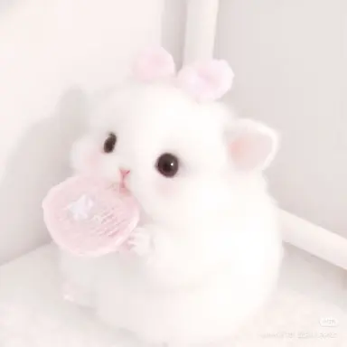 Profile image of 장원잉