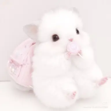 Profile image of 장원양
