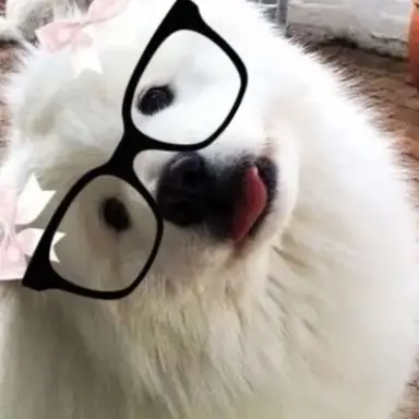 Profile image of サンヒョン