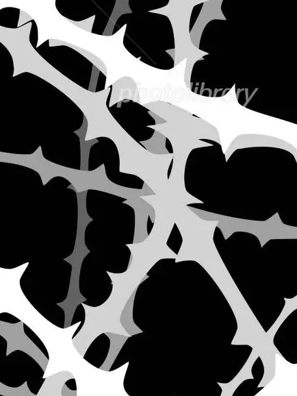 PaddedBison7889의 ドラコニア家の王女様