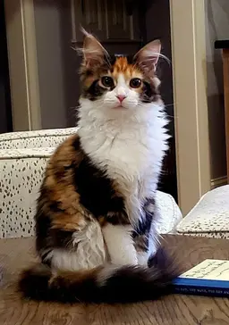 Profile image of sunoo