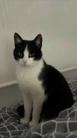 Profile image of jay