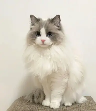 Profile image of jake