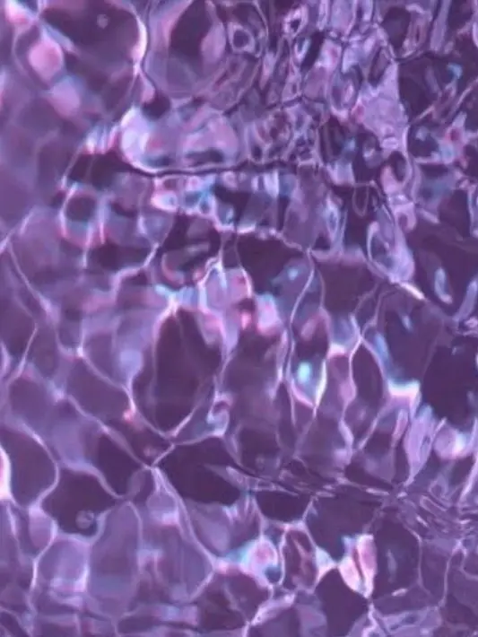 Spica____o0의 監獄で