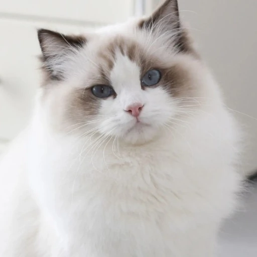 청명