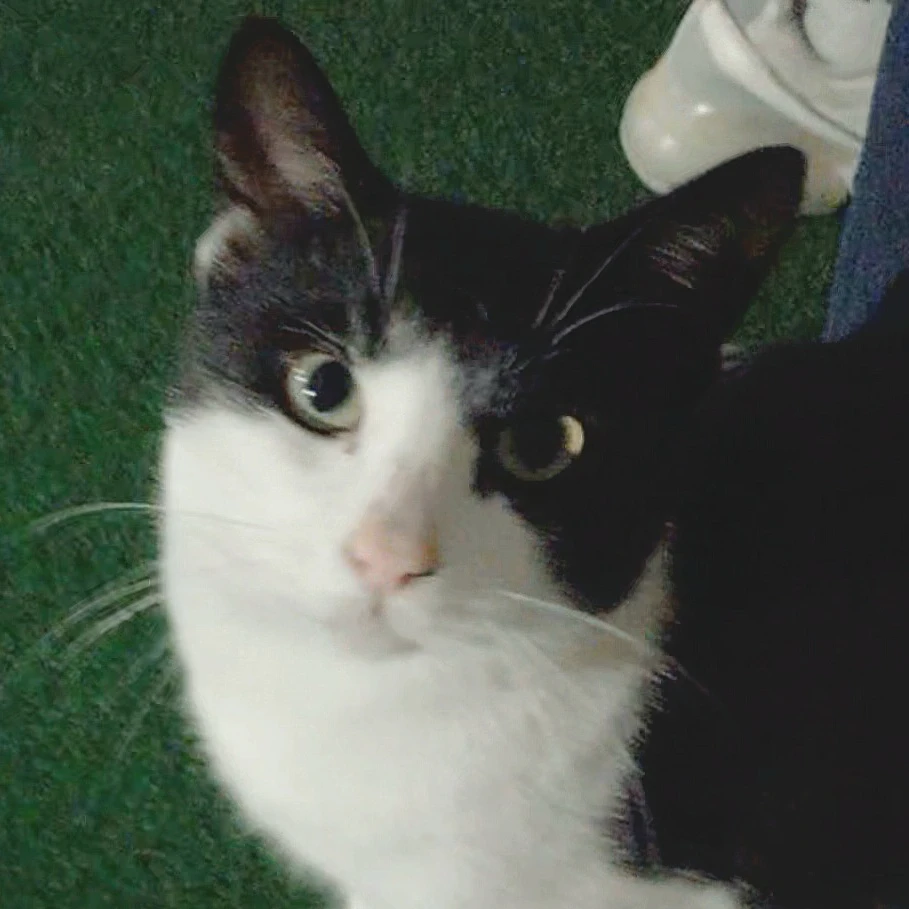 까망이