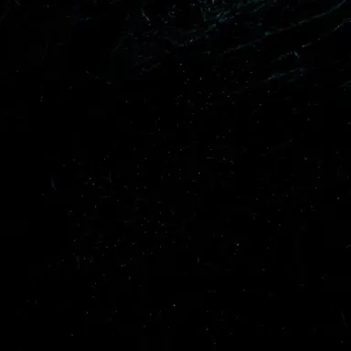 Profile image of 현진