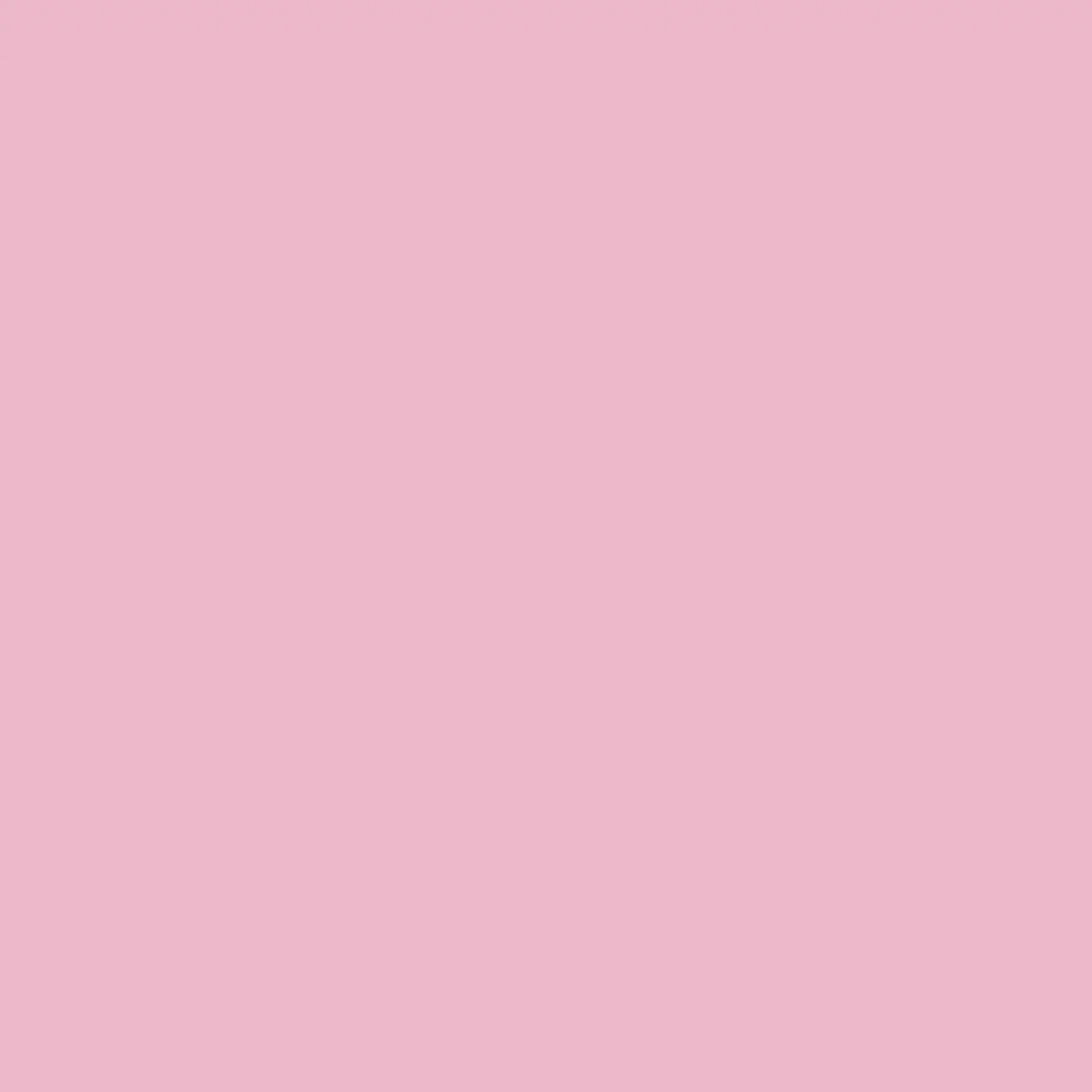 ILOVEl-DLE의 ㅊㅂㄱ