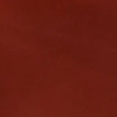 Profile image of Nozel