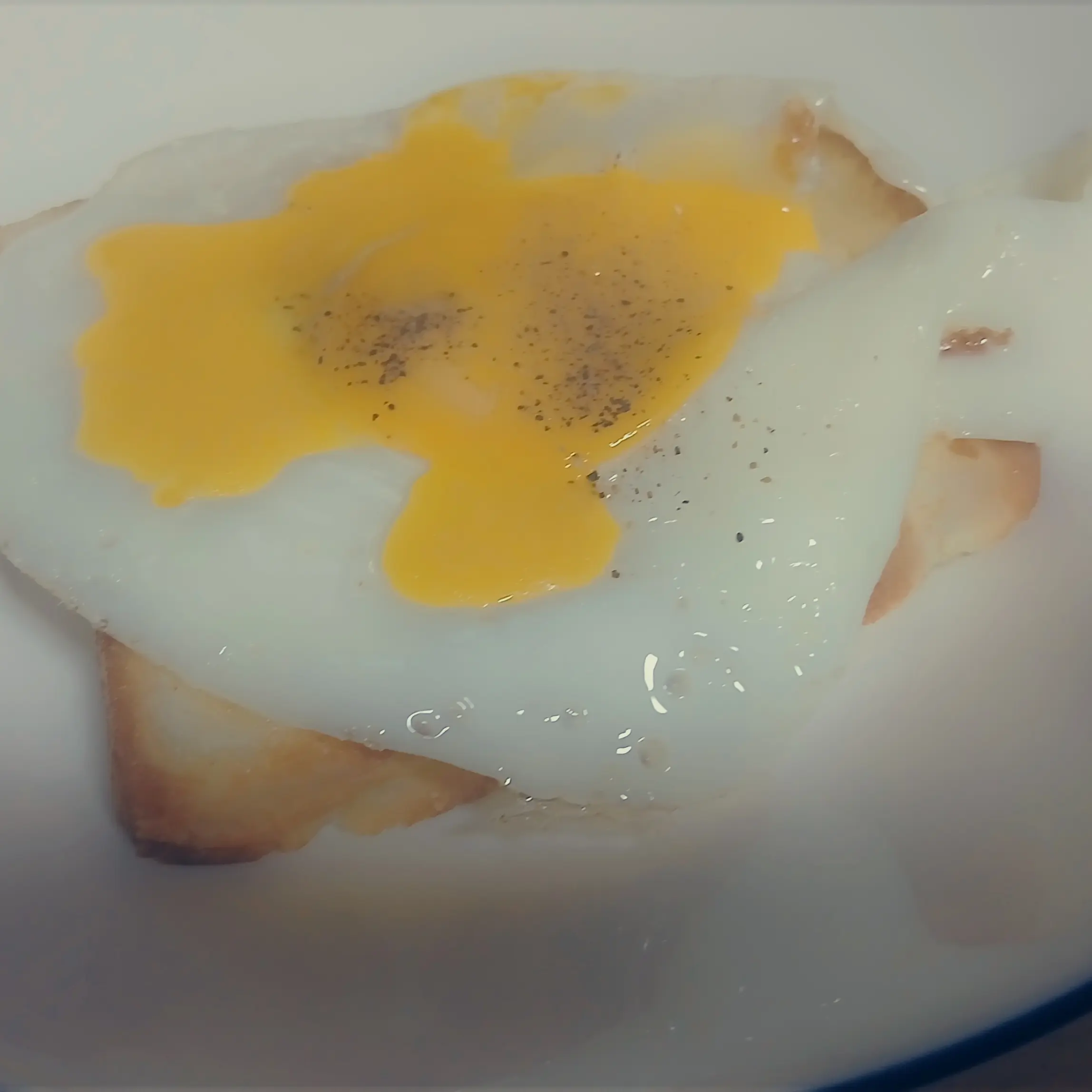 MurkyCamel4435의 김재현