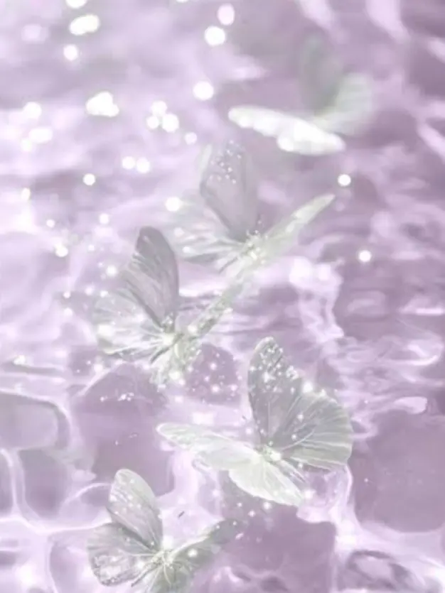 mei_stella의 💜
