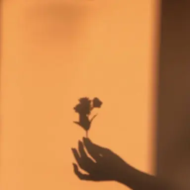 Profile image of 박영환