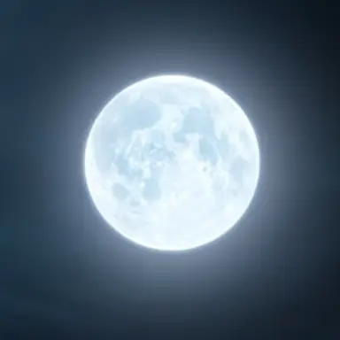 Profile image of 月