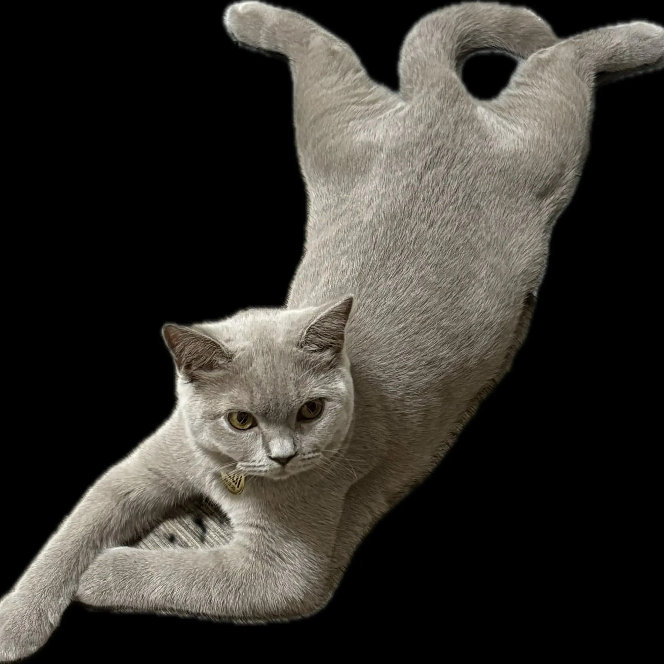 28733662737의 편지